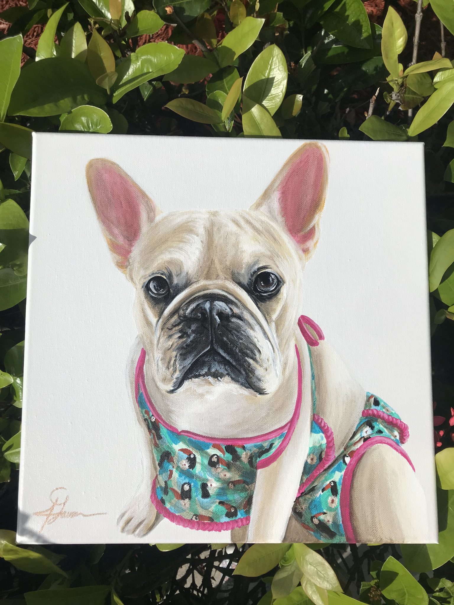 Chewy pet best sale portrait artists