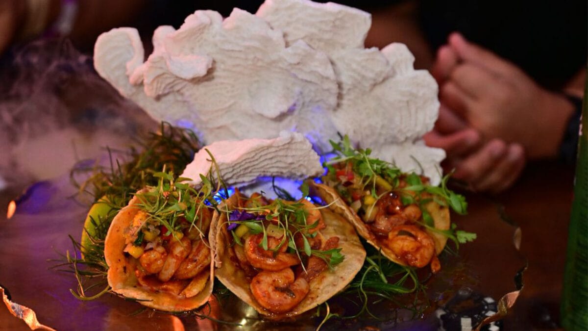 Annual South Beach Seafood Festival Marks Another Successful Showing