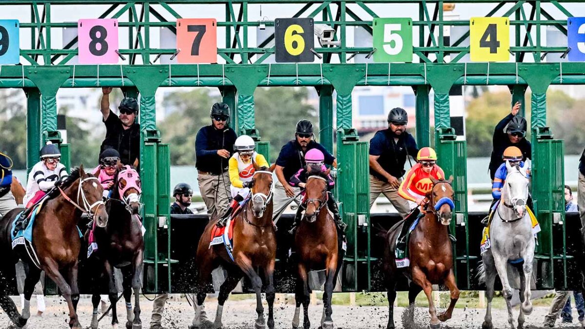 2024 Pegasus World Cup Comes to Gulfstream Park Lifestyle Media Group