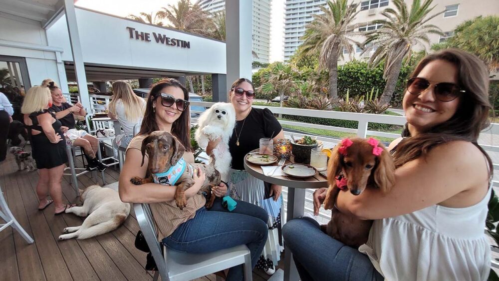 Dog Friendly Dining in South Florida Lona